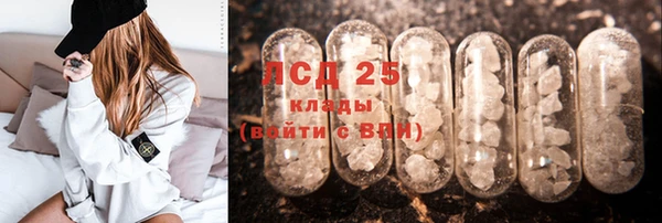 ПСИЛОЦИБИНОВЫЕ ГРИБЫ Михайловск