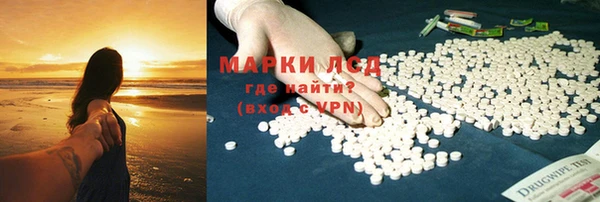 ПСИЛОЦИБИНОВЫЕ ГРИБЫ Михайловск