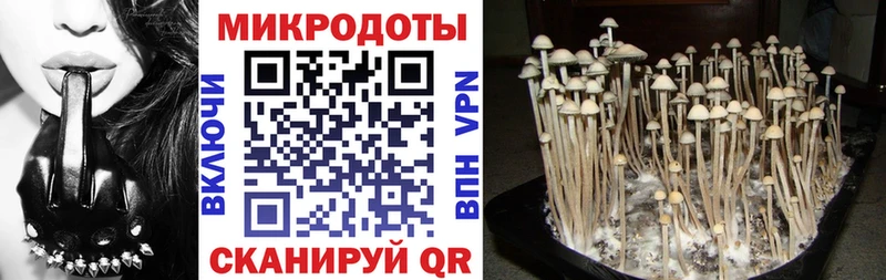 Галлюциногенные грибы GOLDEN TEACHER  Алексин 